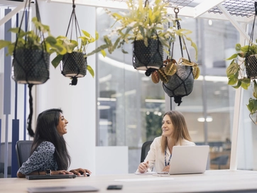 Two female colleagues talking to each other, with plant pots elevated above their heads in a white walled office environment.