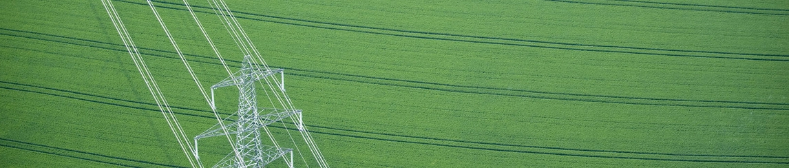 Electricity pylon in a deep green field.