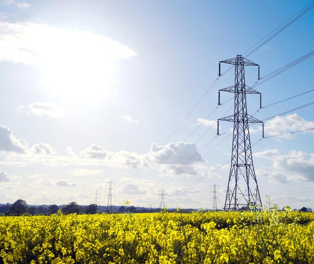 Electricity pylons in a field with yellow flowers and a bright sunny sky in the distance.